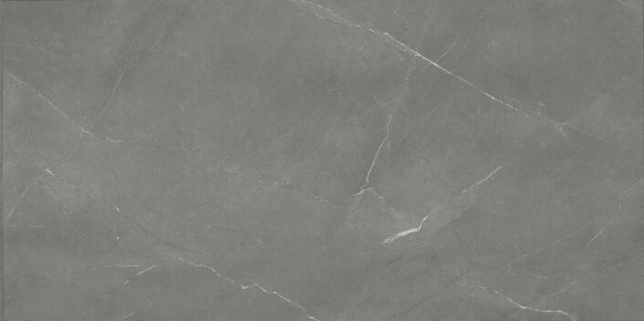 CH1008# / Marble and Slate Series / Lifeproof SPC Flooring