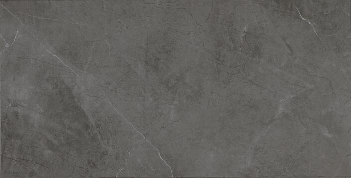 CH1009# / Marble and Slate Series / Lifeproof SPC Flooring